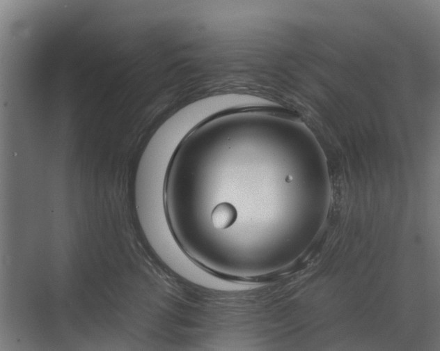 X0000072520762200607211423