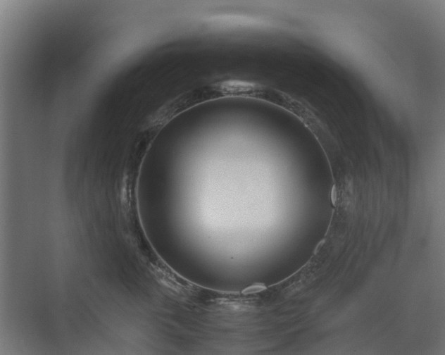 X0000072520763200607211423