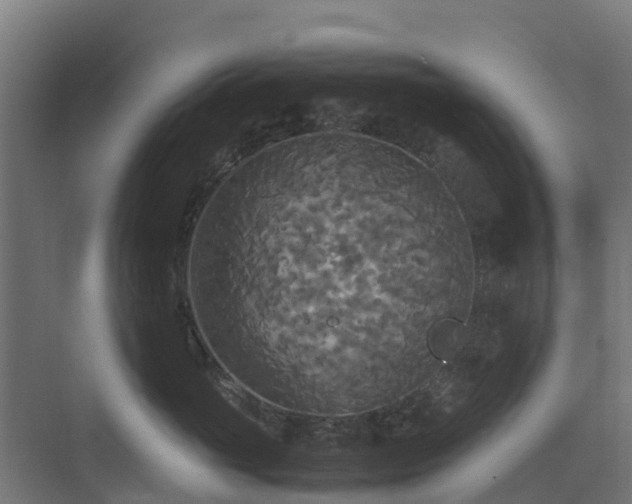 X0000072520765200607211423