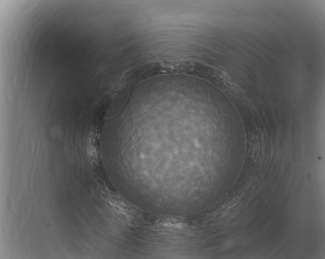 X0000072520770200607211422