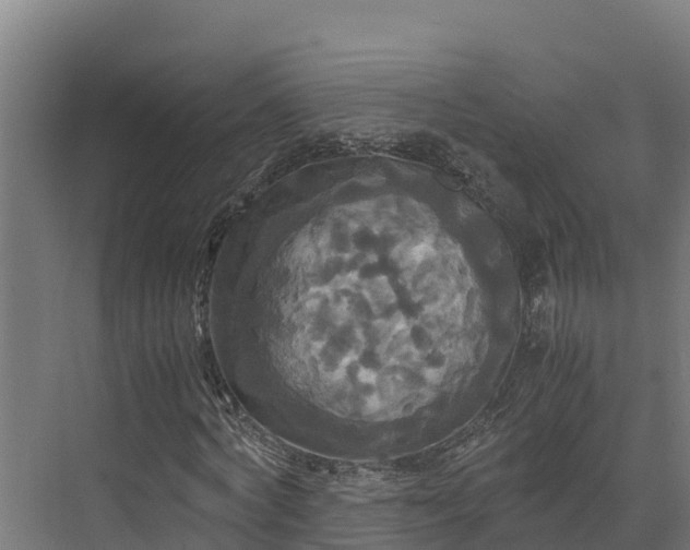 X0000072520772200607211422