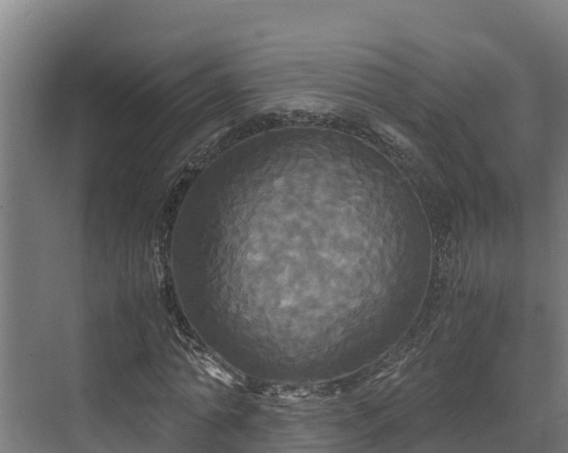 X0000072520774200607211422