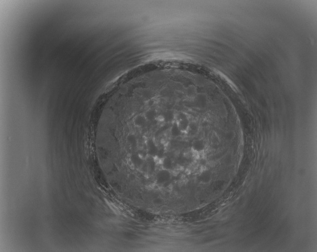 X0000072520775200607211422