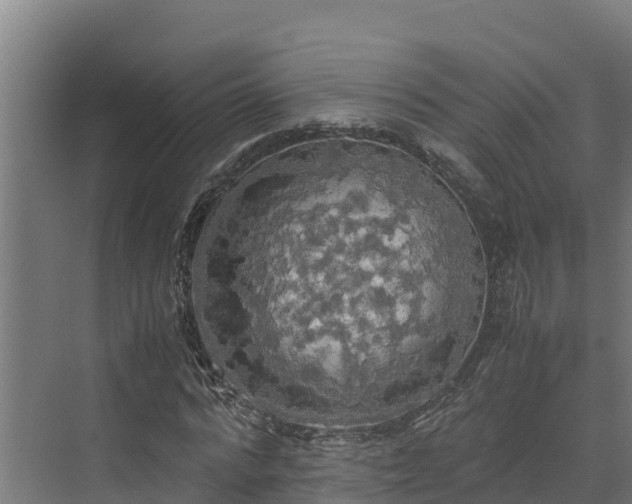 X0000072520776200607211422