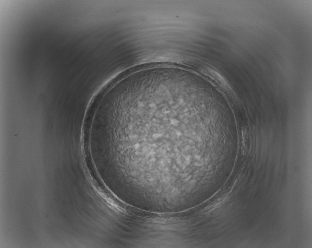 X0000072520780200607211422