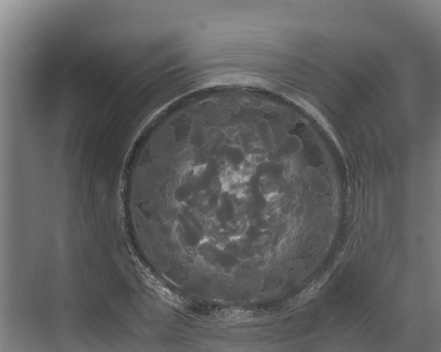 X0000072520783200607211422