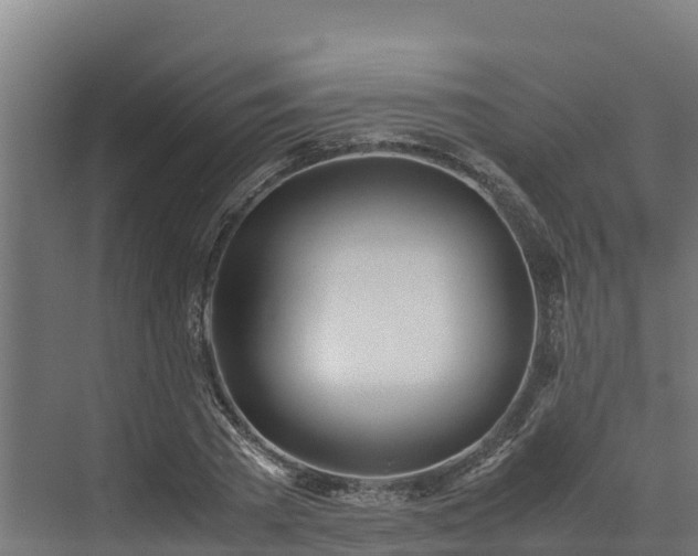 X0000072520785200607211422