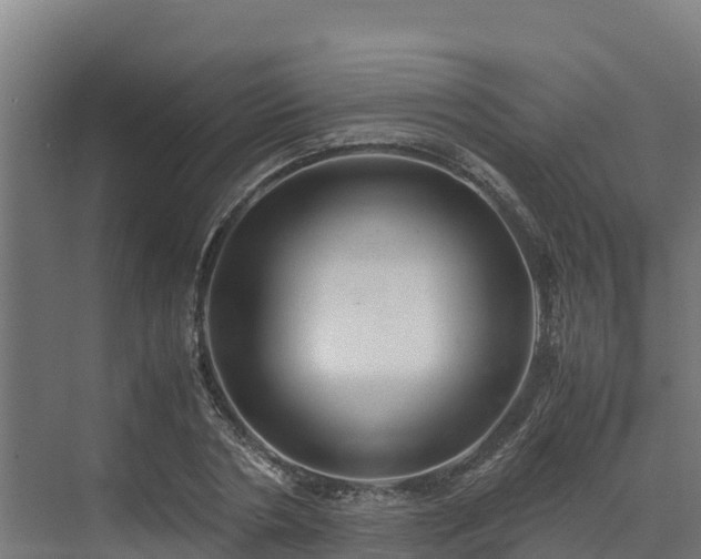 X0000072520786200607211422