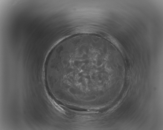 X0000072520787200607211422