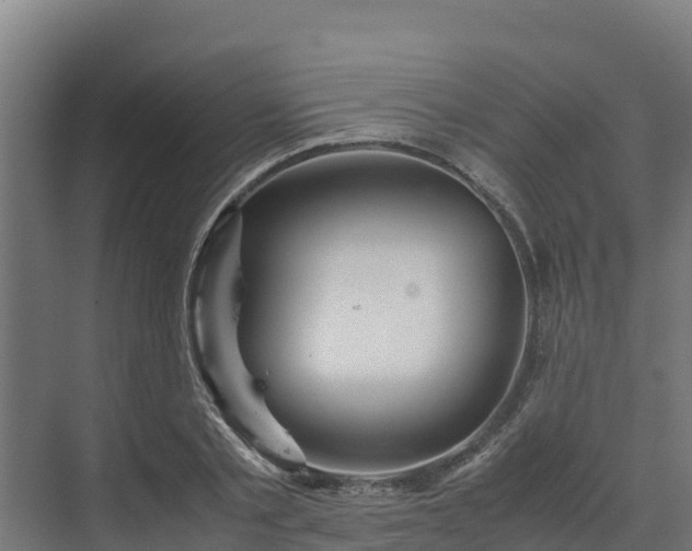 X0000072520789200607211422