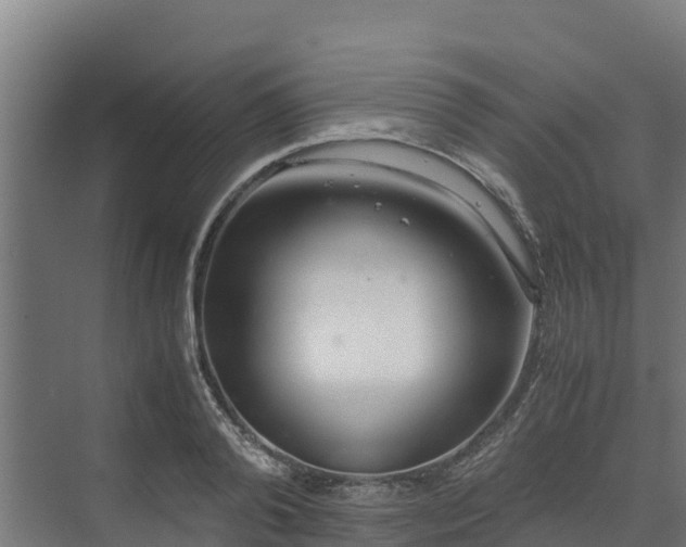 X0000072520792200607211422