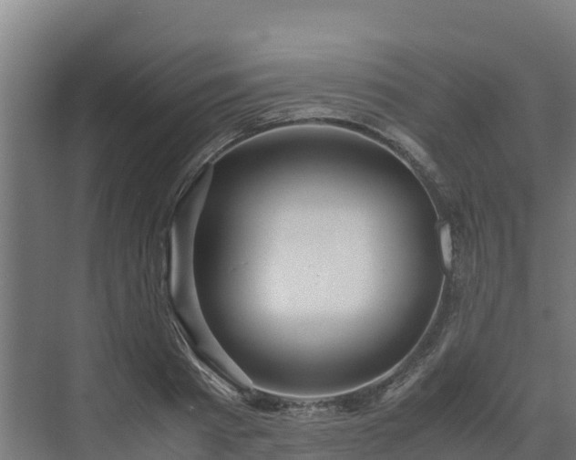 X0000072520793200607211422