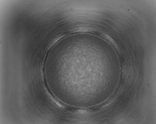 X0000072520794200607211422