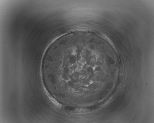 X0000072520795200607211422