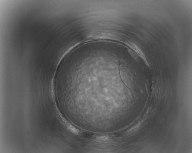 X0000072520798200607211422