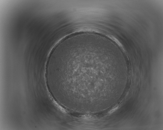 X0000072520799200607211422