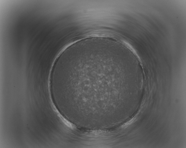 X0000072520803200607211422