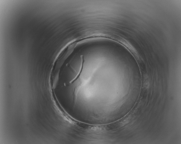 X0000072520806200607211422