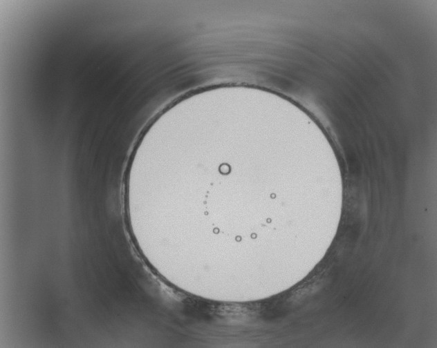 X0000072520807200607211422