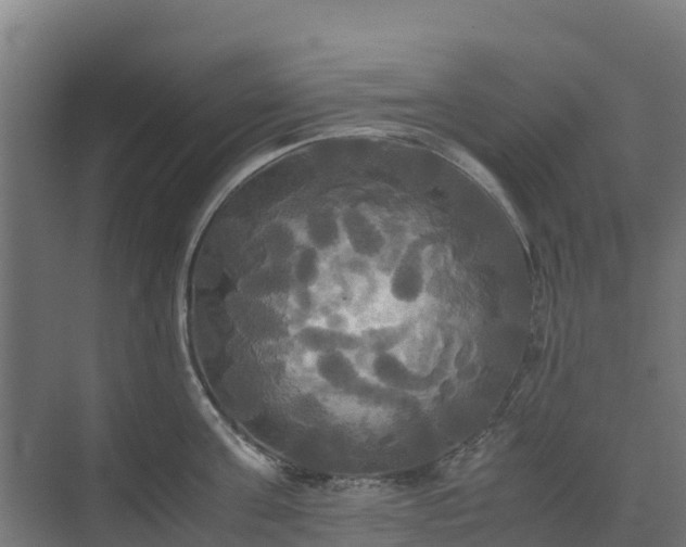 X0000072520811200607211422