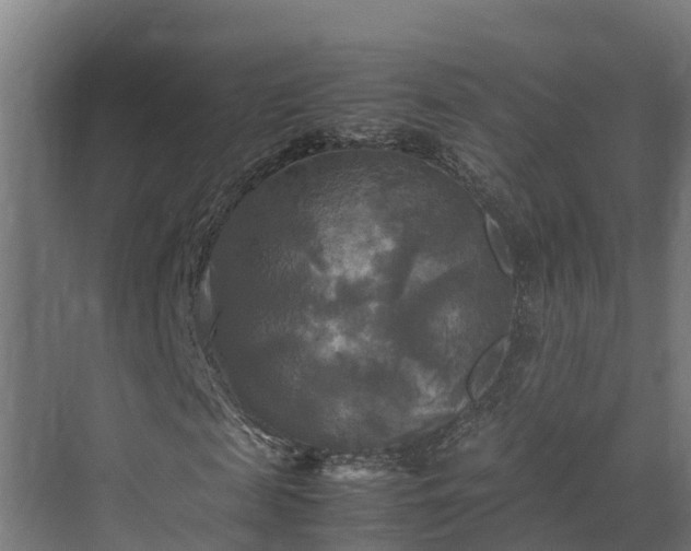 X0000072520817200607211421