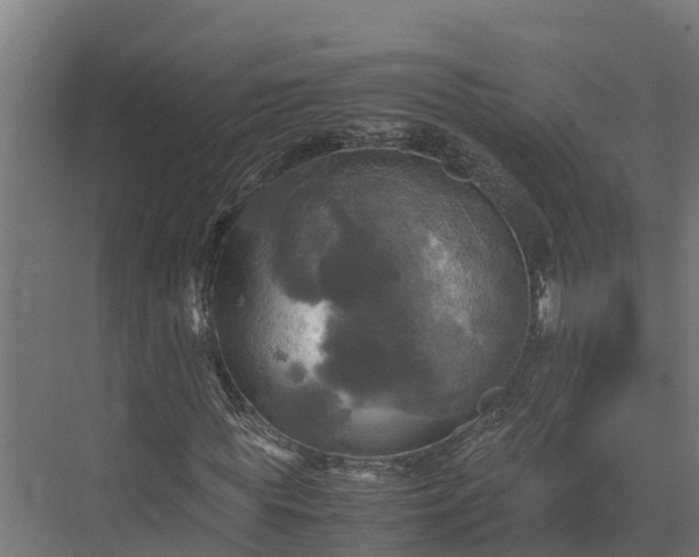 X0000072520819200607211421