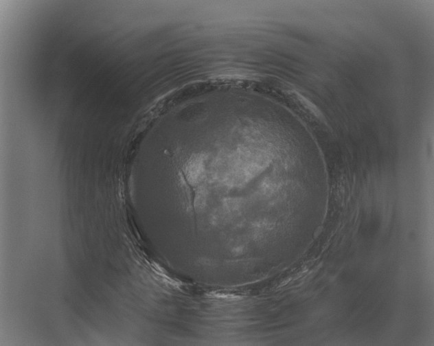 X0000072520821200607211421