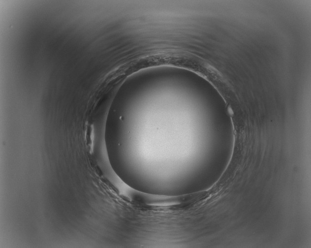 X0000072520822200607211421