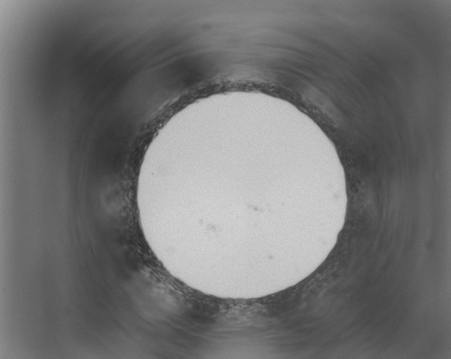 X0000072520824200607211421