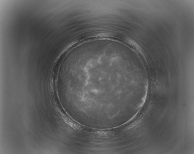 X0000072520827200607211421