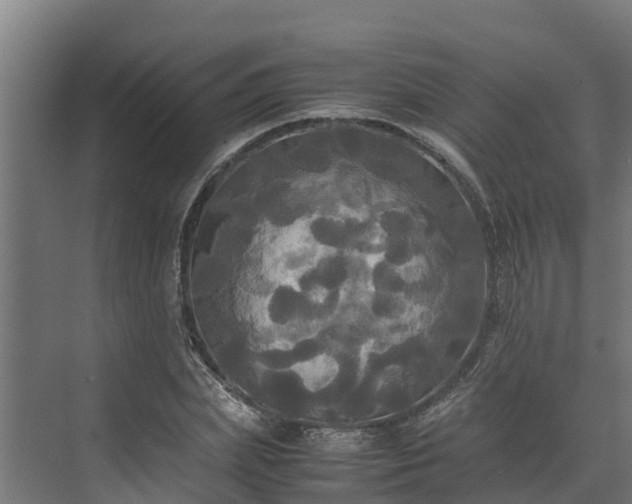 X0000072520831200607211421