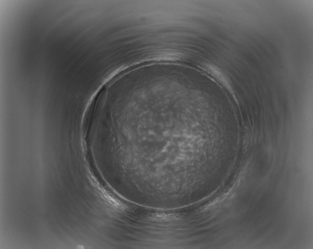 X0000072520835200607211421