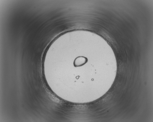 X0000072520836200607211421