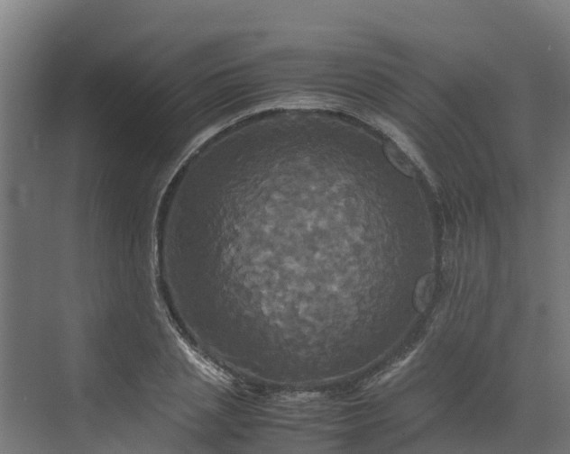 X0000072520837200607211421