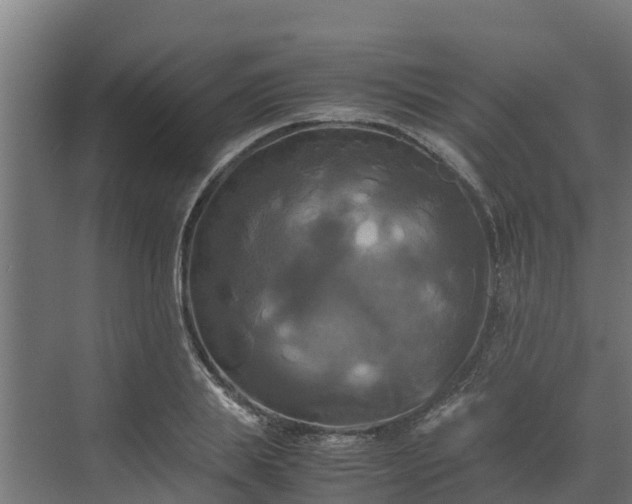 X0000072520839200607211421