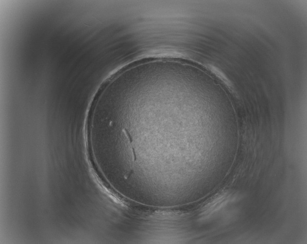 X0000072520840200607211421