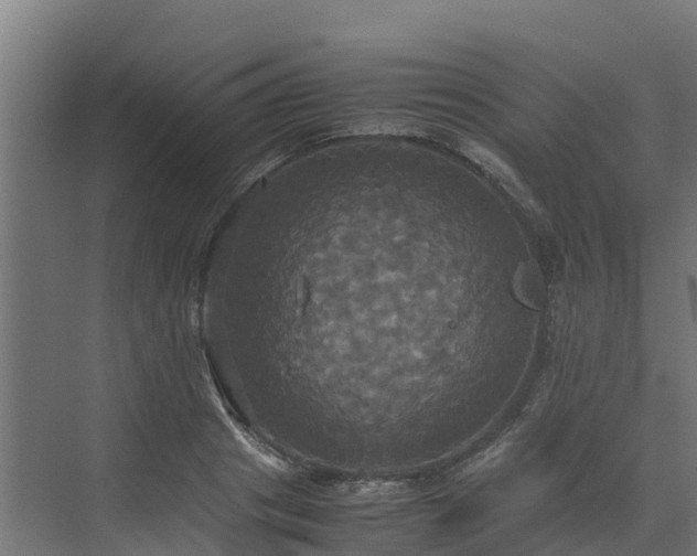 X0000072520841200607211421