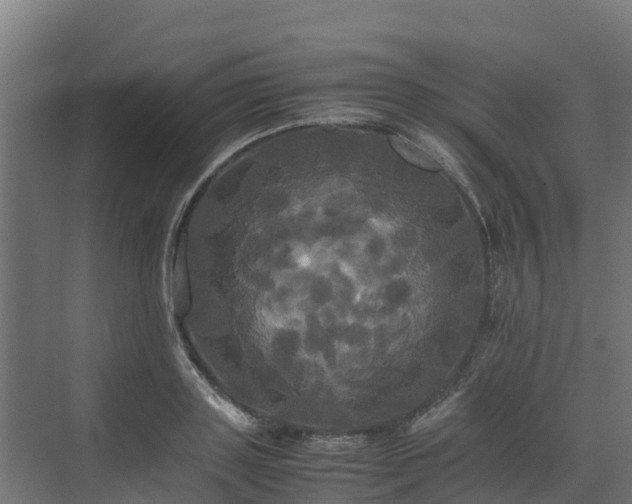 X0000072520843200607211421