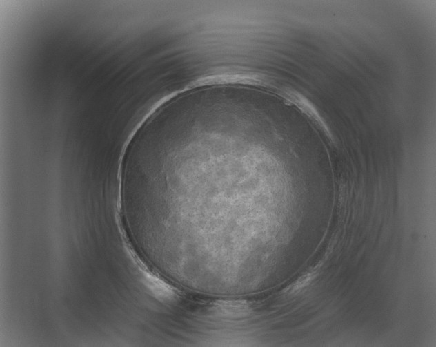 X0000072520844200607211421