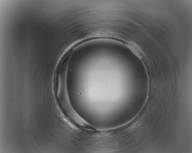 X0000072520846200607211421