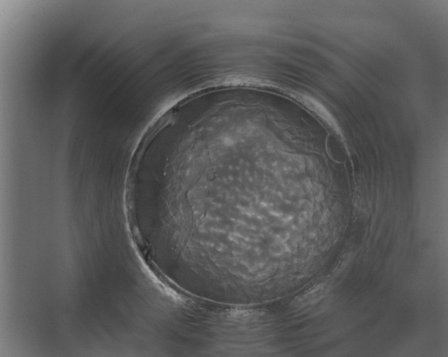 X0000072520847200607211421