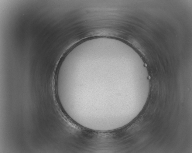 X0000072520848200607211421