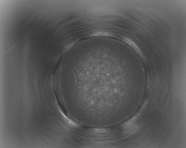 X0000072520849200607211421