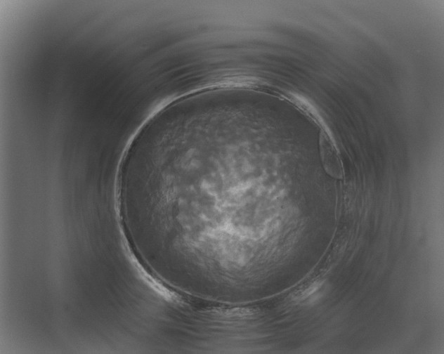 X0000072520851200607211421