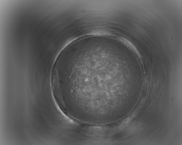 X0000072520855200607211421