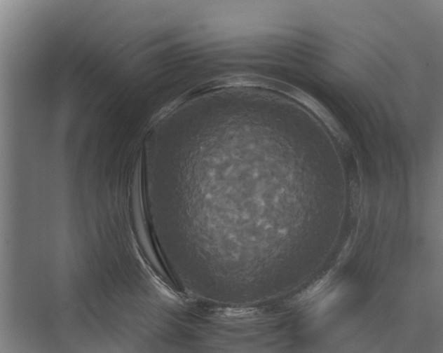 X0000072520857200607211421