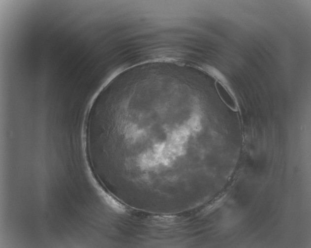 X0000072520859200607211421