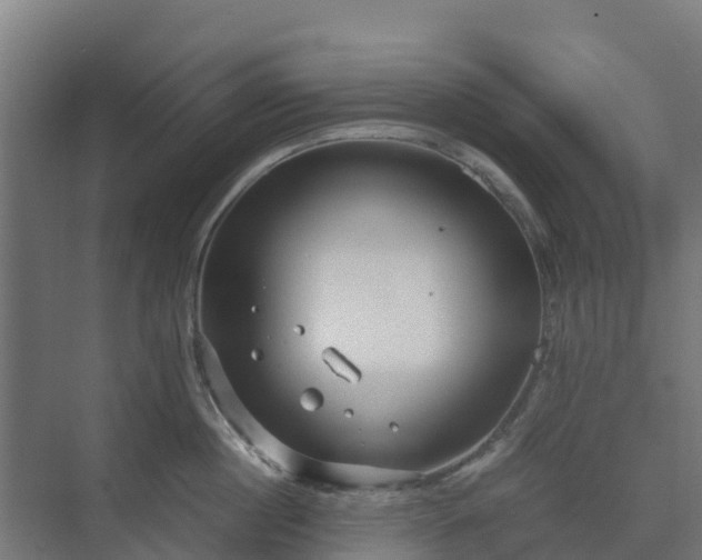 X0000072520860200607211421