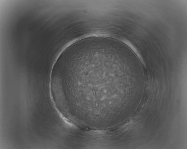 X0000072520861200607211421