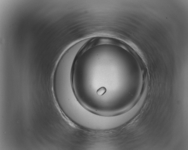 X0000072520862200607211421